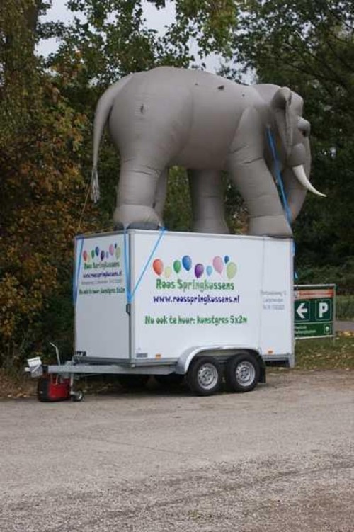 Olifant 4m